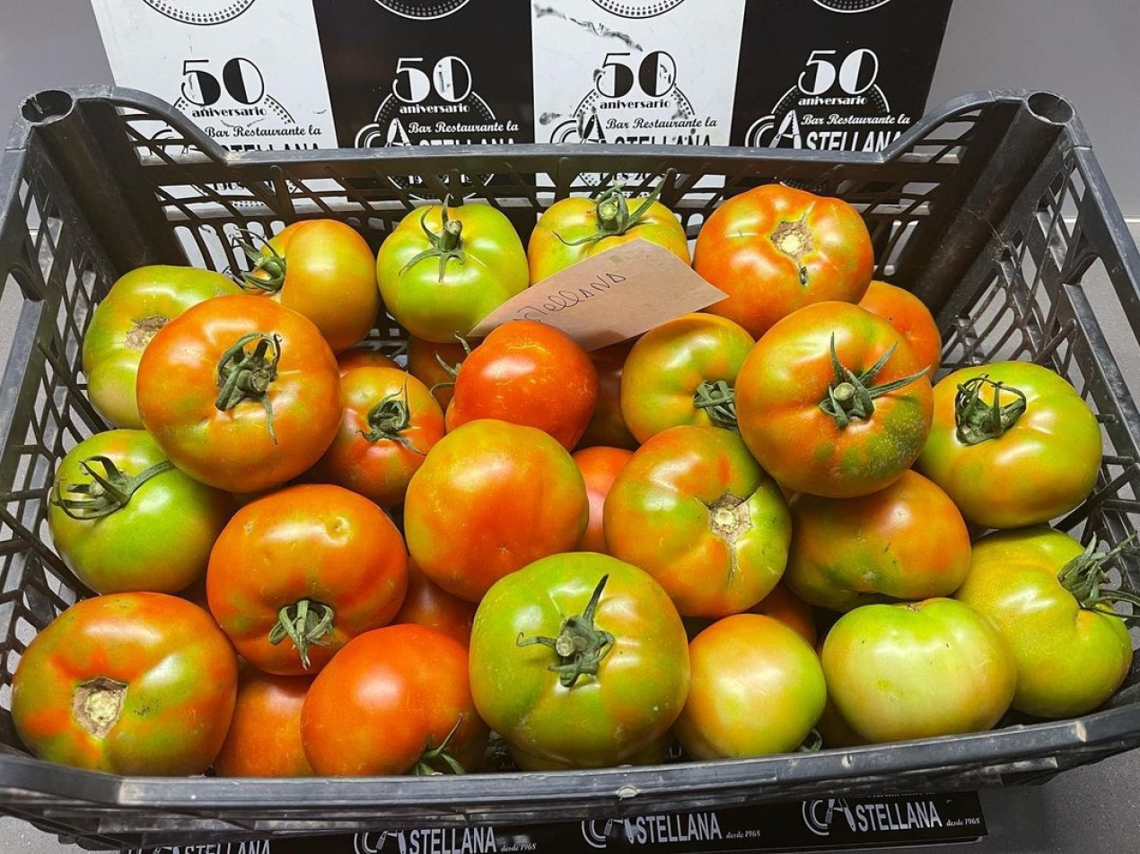 Tomate del Prat Rebost del pages lacastellana #tapas#ensaladas#embutidoiberico#elprat