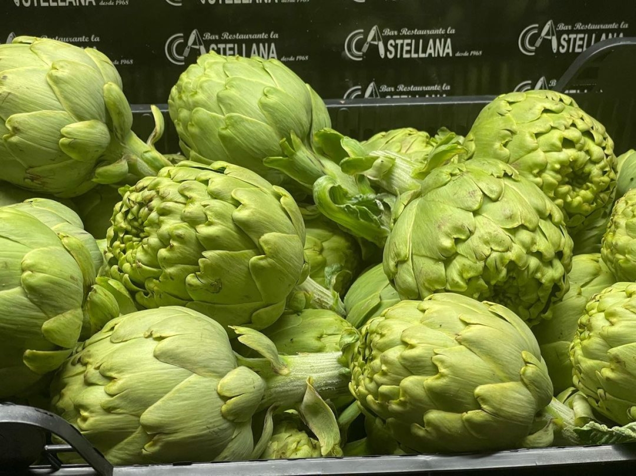 Que buena pinta Alcachofa Prat, del campo a la Castellana.