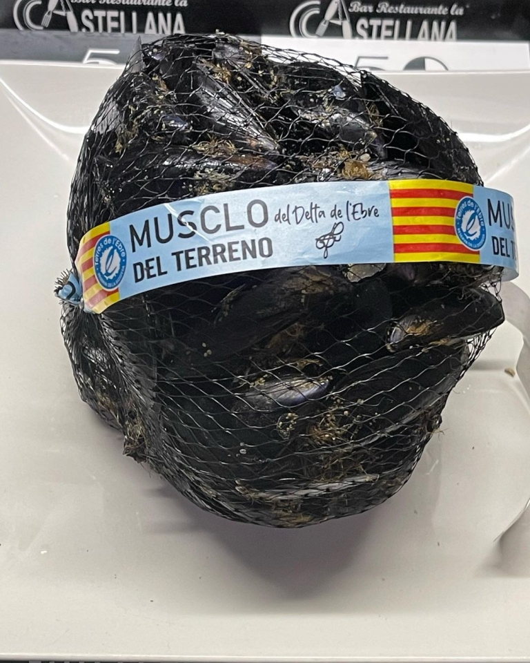 Sugerencias del día Marinera o vapor lacastellana #tapas #elprat # De lunes a sábado de 8a16h.